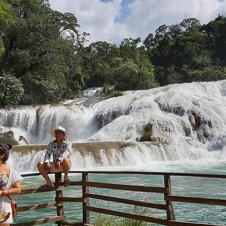Posada Tzeltal Arroyo Agua Azul Zewnętrze zdjęcie