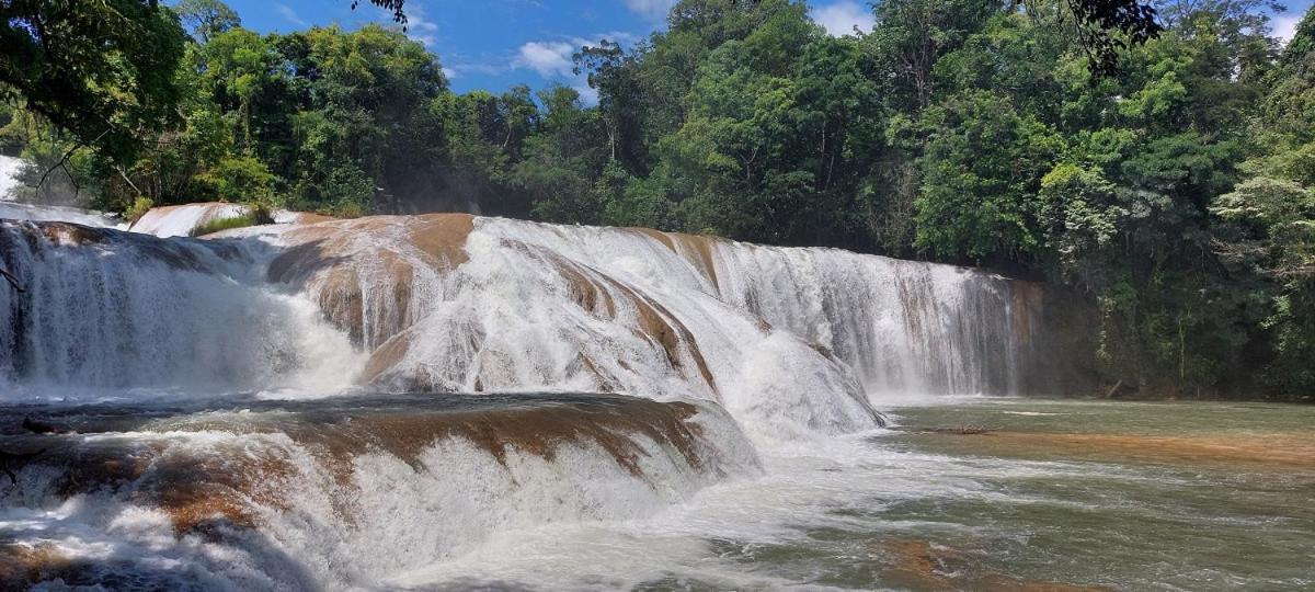 Posada Tzeltal Arroyo Agua Azul Zewnętrze zdjęcie